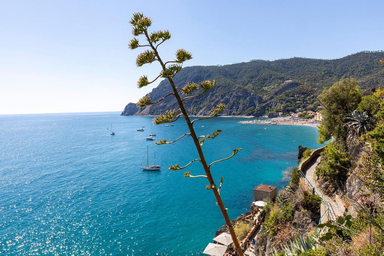 Antica Ancora Rooms Monterosso al Mare Exterior photo